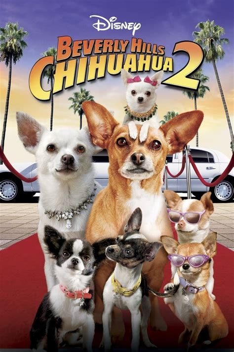 beverly hills chihuahua 2 puppies.